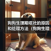 狗狗生理期呕吐的原因和处理方法（狗狗生理期为什么会呕吐？如何帮助狗狗缓解？）(图2)