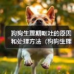 狗狗生理期呕吐的原因和处理方法（狗狗生理期为什么会呕吐？如何 - 辰飞雨新生家伴