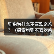 狗狗为什么不喜欢亲亲？（探索狗狗不喜欢亲亲的原因及解决方法） - 辰飞雨新生家伴