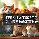 狗狗为什么不喜欢亲亲?(探索狗狗不喜欢亲亲的原因及解决方法)(图2) 狗狗为什么不喜欢亲亲?(探索狗狗不喜欢亲亲的原因及解决方法)(图2)