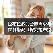 拉布拉多的营养需求与饮食搭配（探究拉布拉多犬的健康饮食要点与注意事项）(图3)