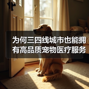 为何三四线城市也能拥有高品质宠物医疗服务