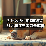 为什么给小狗剪胎毛?好处与注意事项全解析(图3) 为什么给小狗剪胎毛?好处与注意事项全解析(图3)