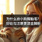 为什么给小狗剪胎毛?好处与注意事项全解析(图2) 为什么给小狗剪胎毛?好处与注意事项全解析(图2)