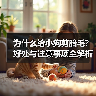为什么给小狗剪胎毛?好处与注意事项全解析(图4) 为什么给小狗剪胎毛?好处与注意事项全解析(图4)