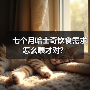 七个月哈士奇饮食需求怎么喂才对？ - 辰飞雨新生家伴
