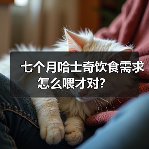 七个月哈士奇饮食需求怎么喂才对?(图3) 七个月哈士奇饮食需求怎么喂才对?(图3)
