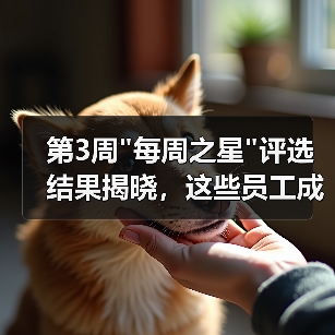 第3周 第3周每周之星评选结果揭晓,这些员工成为行业榜样!(图3)
