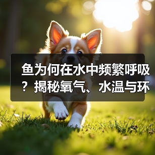 鱼为何在水中频繁呼吸?揭秘氧气、水温与环境影响(图3) 鱼为何在水中频繁呼吸?揭秘氧气、水温与环境影响(图3)
