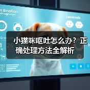 小猫咪呕吐怎么办？正确处理方法全解析(图4)