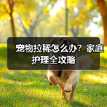 宠物拉稀怎么办?家庭护理全攻略(图2) 宠物拉稀怎么办?家庭护理全攻略(图2)