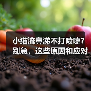 小猫流鼻涕不打喷嚏?别急,这些原因和应对方法你必须知道(图3) 小猫流鼻涕不打喷嚏?别急,这些原因和应对方法你必须知道(图3)