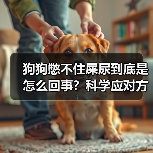 狗狗憋不住屎尿到底是怎么回事?科学应对方法全解析(图3) 狗狗憋不住屎尿到底是怎么回事?科学应对方法全解析(图3)
