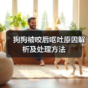 狗狗被咬后呕吐原因解析及处理方法(图2) 狗狗被咬后呕吐原因解析及处理方法(图2)