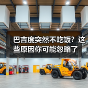 巴吉度突然不吃饭?这些原因你可能忽略了(图2) 巴吉度突然不吃饭?这些原因你可能忽略了(图2)