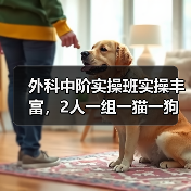 外科中阶实操班实操丰富,2人一组一猫一狗实战提升!(图3) 外科中阶实操班实操丰富,2人一组一猫一狗实战提升!(图3)