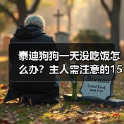 泰迪狗狗一天没吃饭怎么办?主人需注意的15个关键措施(图3) 泰迪狗狗一天没吃饭怎么办?主人需注意的15个关键措施(图3)