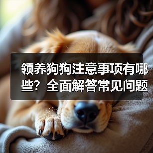 领养狗狗注意事项有哪些？全面解答常见问题