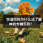 快递纸箱为什么成了猫咪的专属乐园?(图4) 快递纸箱为什么成了猫咪的专属乐园?(图4)