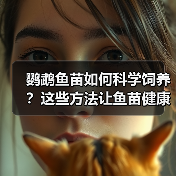 鹦鹉鱼苗如何科学饲养?这些方法让鱼苗健康成长(图3) 鹦鹉鱼苗如何科学饲养?这些方法让鱼苗健康成长(图3)