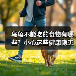 乌龟不能吃的食物有哪些?小心这些健康隐患(图3) 乌龟不能吃的食物有哪些?小心这些健康隐患(图3)