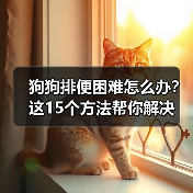 狗狗排便困难怎么办？这15个方法帮你解决 - 辰飞雨新生家伴
