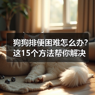 狗狗排便困难怎么办?这15个方法帮你解决(图2) 狗狗排便困难怎么办?这15个方法帮你解决(图2)