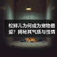 松狮儿为何成为宠物最爱?揭秘其气质与性情魅力(图4) 松狮儿为何成为宠物最爱?揭秘其气质与性情魅力(图4)