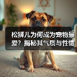 松狮儿为何成为宠物最爱？揭秘其气质与性情魅力 - 辰飞雨新生家伴
