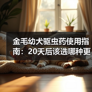 金毛幼犬驱虫药使用指南：20天后该选哪种更安全？ - 辰飞雨新生家伴