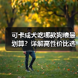 可卡成犬吃哪款狗粮最划算？详解高性价比选择技巧 - 辰飞雨新生家伴