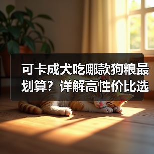 可卡成犬吃哪款狗粮最划算?详解高性价比选择技巧(图3) 可卡成犬吃哪款狗粮最划算?详解高性价比选择技巧(图3)