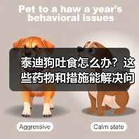 泰迪狗吐食怎么办?这些药物和措施能解决问题吗?(图3) 泰迪狗吐食怎么办?这些药物和措施能解决问题吗?(图3)