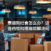 泰迪狗吐食怎么办?这些药物和措施能解决问题吗?(图4) 泰迪狗吐食怎么办?这些药物和措施能解决问题吗?(图4)