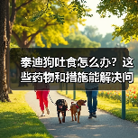 泰迪狗吐食怎么办？这些药物和措施能解决问题吗？ - 辰飞雨新生家伴