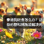 泰迪狗吐食怎么办?这些药物和措施能解决问题吗?(图2) 泰迪狗吐食怎么办?这些药物和措施能解决问题吗?(图2)