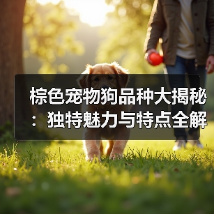棕色宠物狗品种大揭秘:独特魅力与特点全解析(图3) 棕色宠物狗品种大揭秘:独特魅力与特点全解析(图3)