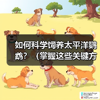 如何科学饲养太平洋鹦鹉？（掌握这些关键方