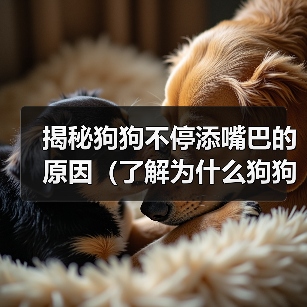 揭秘狗狗不停添嘴巴的原因（了解为什么狗狗