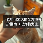 老年可蒙犬的全方位养护指南(以宠物为主,为老年可蒙犬提供健康的衣食住行)(图3) 老年可蒙犬的全方位养护指南(以宠物为主,为老年可蒙犬提供健康的衣食住行)(图3)