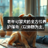 老年可蒙犬的全方位养护指南（以宠物为主，