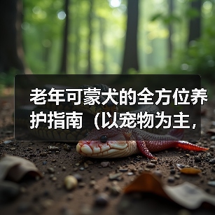 老年可蒙犬的全方位养护指南(以宠物为主,为老年可蒙犬提供健康的衣食住行)(图4) 老年可蒙犬的全方位养护指南(以宠物为主,为老年可蒙犬提供健康的衣食住行)(图4)