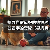 探寻自贡最好的德牧种公名字的奥秘(寻找完美德牧种公,关注这个!)(图2) 探寻自贡最好的德牧种公名字的奥秘(寻找完美德牧种公,关注这个!)(图2)