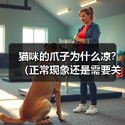 猫咪的爪子为什么凉?(正常现象还是需要关注的问题?)(图2) 猫咪的爪子为什么凉?(正常现象还是需要关注的问题?)(图2)