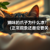 猫咪的爪子为什么凉?(正常现象还是需要关注的问题?)(图3) 猫咪的爪子为什么凉?(正常现象还是需要关注的问题?)(图3)