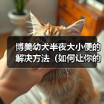 博美幼犬半夜大小便的解决方法（如何让你的