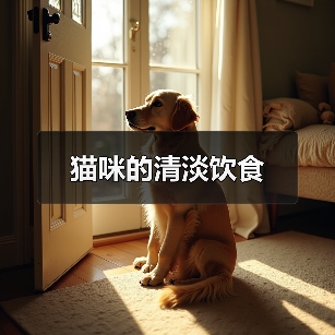 猫咪的清淡饮食(图4) 猫咪的清淡饮食(图4)