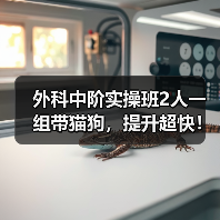 外科中阶实操班2人一组带猫狗,提升超快!(图2) 外科中阶实操班2人一组带猫狗,提升超快!(图2)