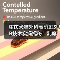 重庆犬猫外科高阶班SUB技术实操揭秘!乳糜胸手术如何精准应对?(图2) 重庆犬猫外科高阶班SUB技术实操揭秘!乳糜胸手术如何精准应对?(图2)