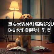 重庆犬猫外科高阶班SUB技术实操揭秘!乳糜胸手术如何精准应对?(图3) 重庆犬猫外科高阶班SUB技术实操揭秘!乳糜胸手术如何精准应对?(图3)